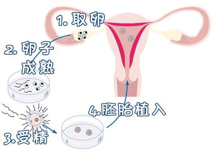 木棉医疗中心